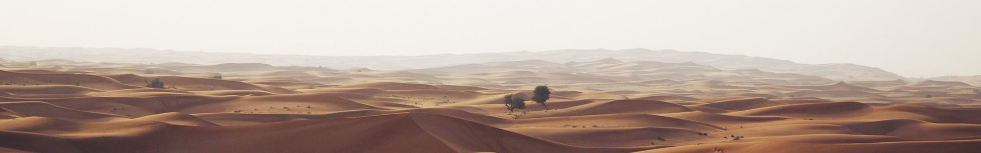 ɽνƼ޹˾
